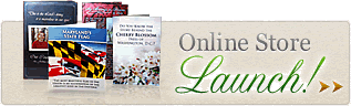 Online Store Launch